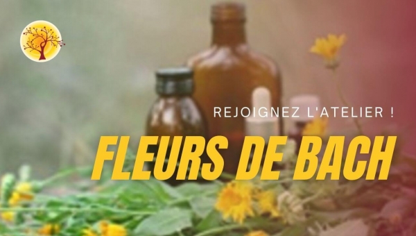 Atelier TREE : Fleurs de Bach pour gérer mes émotions